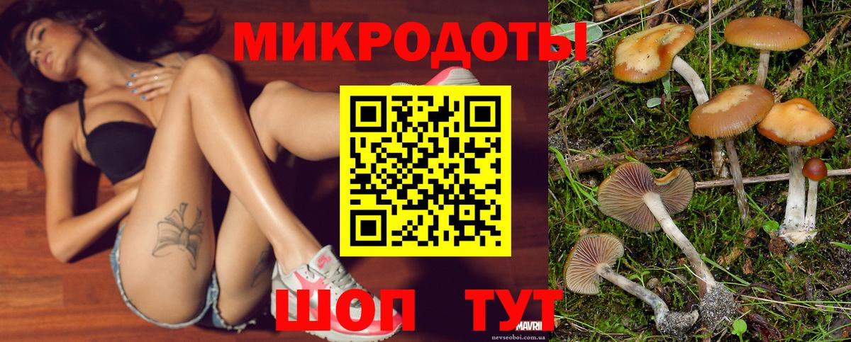 Галлюциногенные грибы мицелий Владивосток