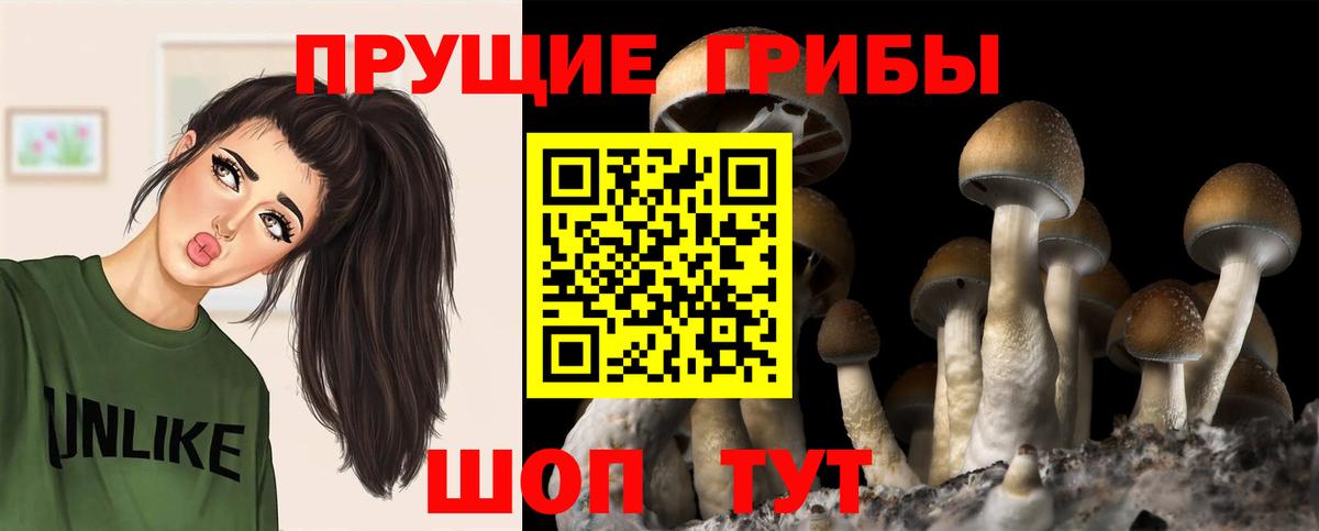 Галлюциногенные грибы мухоморы  Вход с VPN  купить наркотик  Владивосток 